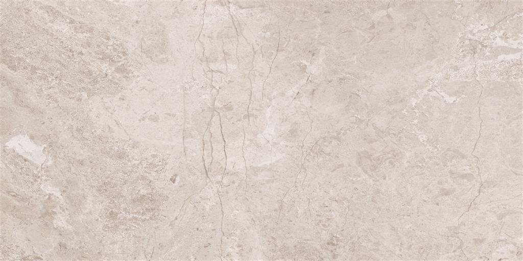 Cerdomus Omnia Hermitage Polished 30x60 (R) thumbnail 4