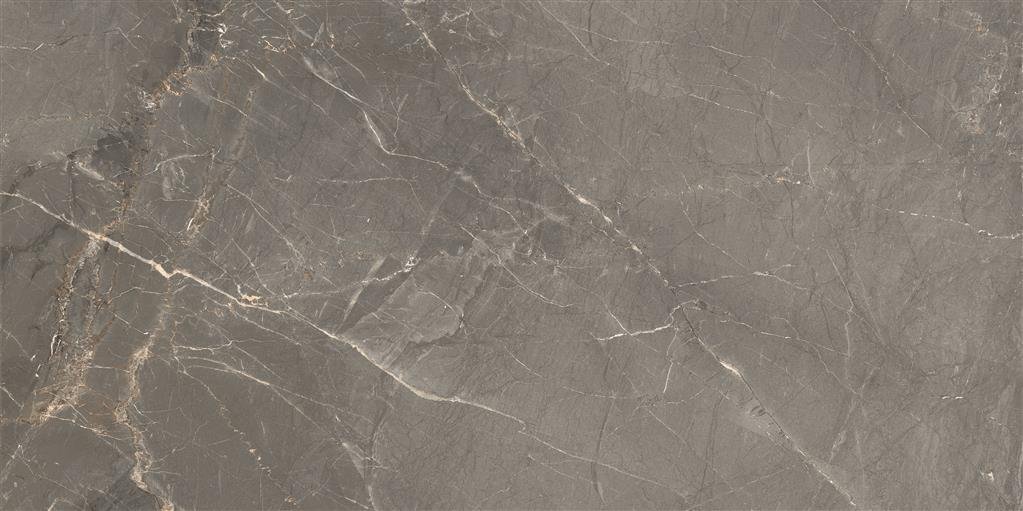 Cerdomus Sybil Silver Matt 30x60 (R)