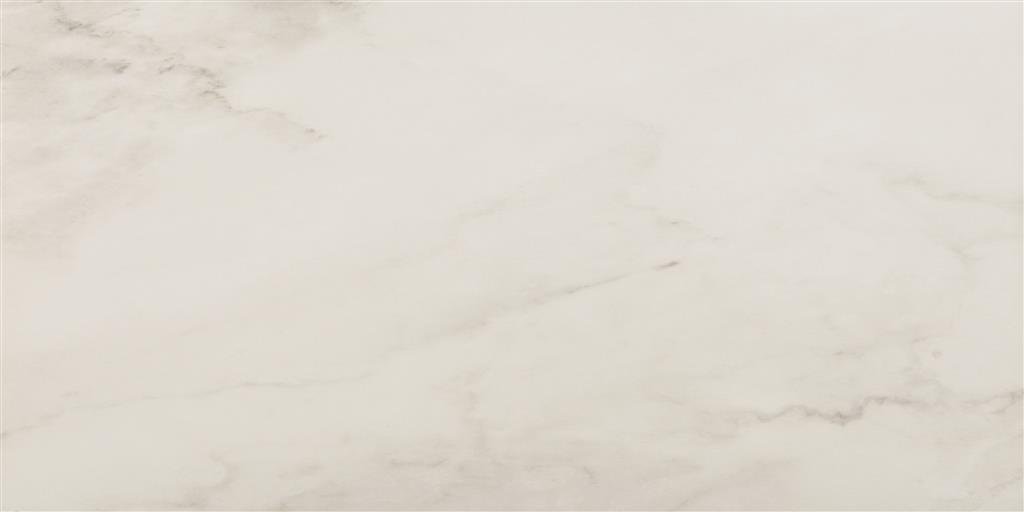 Ecoceramic Luxe Snow Polished 60x120 (R)