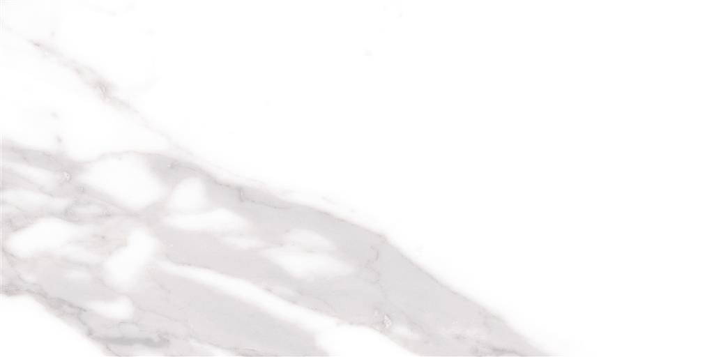 Cerdomus Omnia Statuario Matt 30x60 (R) thumbnail 2