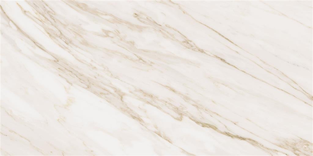 Cerdomus Omnia Calacatta Matt 30x60 (R)