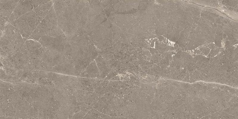 VIT vt Meteorite Beige 60x120R