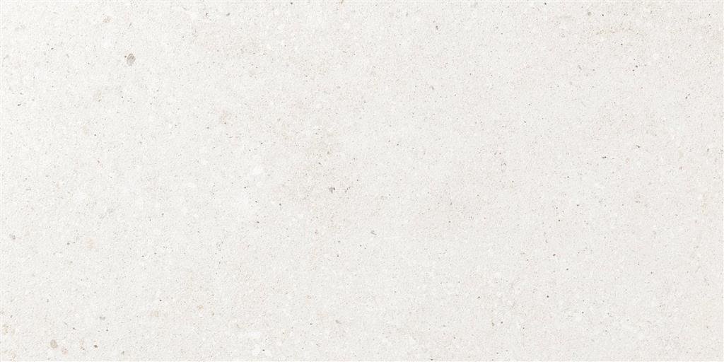 Ecoceramic Bogey White 60x120 (R)