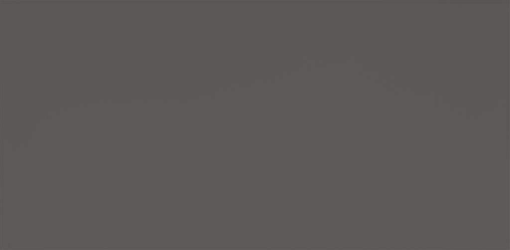 Steenbok Project Grijs Glans 15x30 (M)