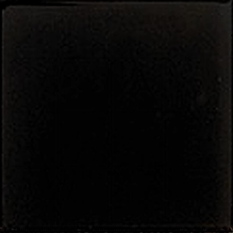 EQ wt Evolution Negro Glans 15x15