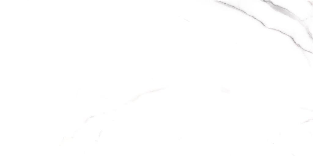 Cerdomus Omnia Statuario Matt 60x120 (R) thumbnail 4