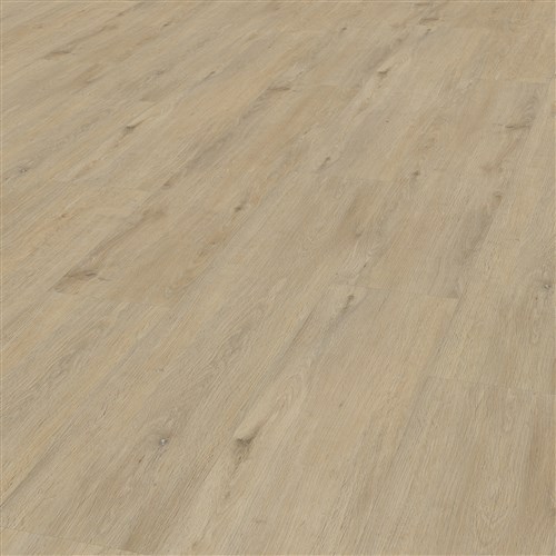 Eiken 6501 - Clickversie