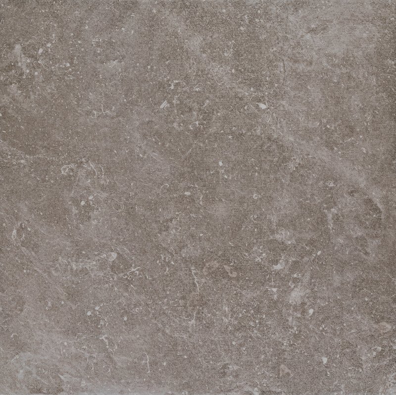 CER vt Maas Taupe 58,5x58,5R