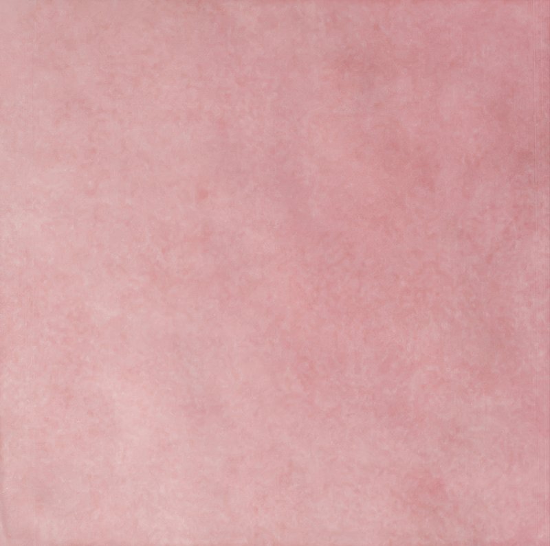 EQ wt Artisan Rose Mallow 13,2x13,2