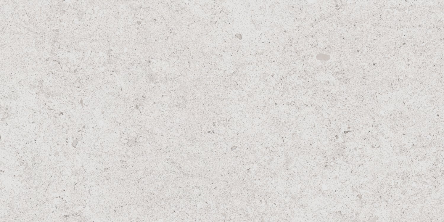 PAV vt Antica Grey 60x120R (1st) thumbnail 2