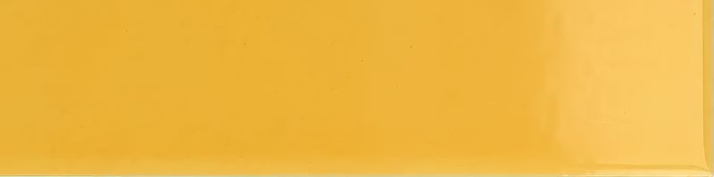 xEQ wt Costa Nova Yellow Glans 5x20NR thumbnail 3