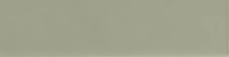 xEQ wt Costa Nova Tansy Green Mat 5x20NR thumbnail 3