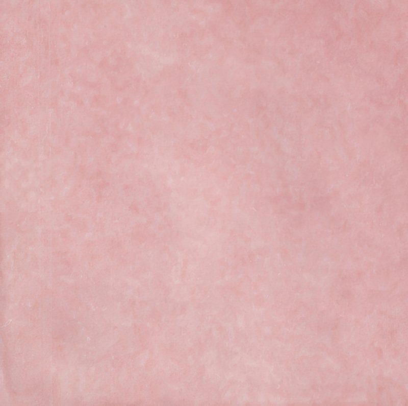 EQ wt Artisan Rose Mallow 13,2x13,2 thumbnail 2