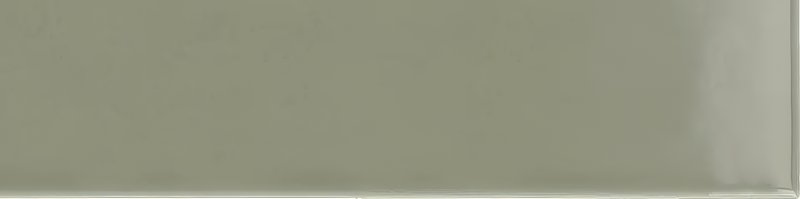 xEQ wt Costa Nova Tansy Green Glans 5x20NR thumbnail 3