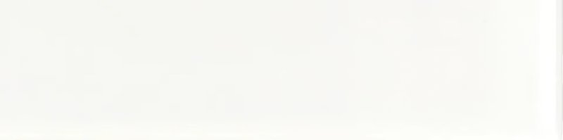 xEQ wt Costa Nova White Glans 5x20NR thumbnail 3