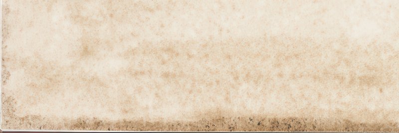 FA wt Titan Honey 10x30 thumbnail 5