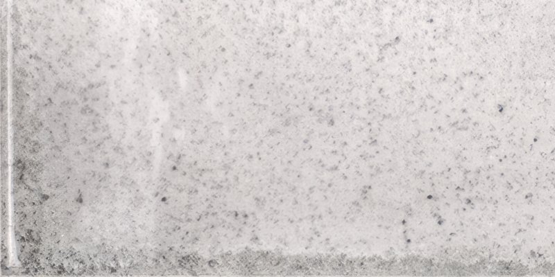 FA wt Vita Nebbia 10x20 thumbnail 5