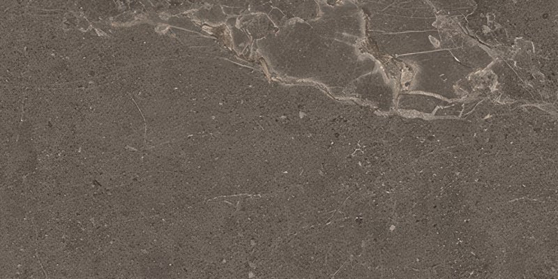 VIT vt Meteorite Mink 60x120R thumbnail 3