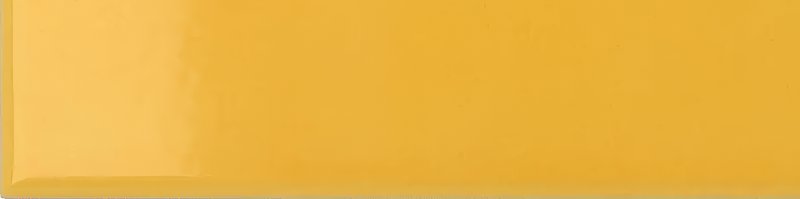 xEQ wt Costa Nova Yellow Glans 5x20NR thumbnail 5