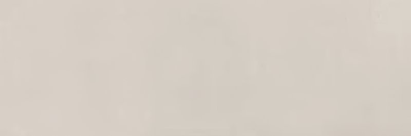 xPOD wt Liverpool Bone 40x120R thumbnail 5