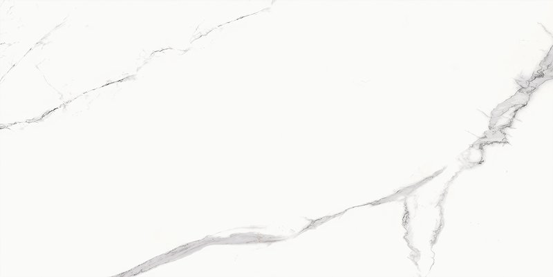 Bien vt Statuario Goya 60x120R Mat R9