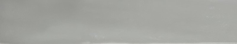 AM wt Boston Chameleon 5x25 thumbnail 5