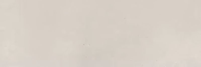 xPOD wt Liverpool Bone 40x120R thumbnail 3