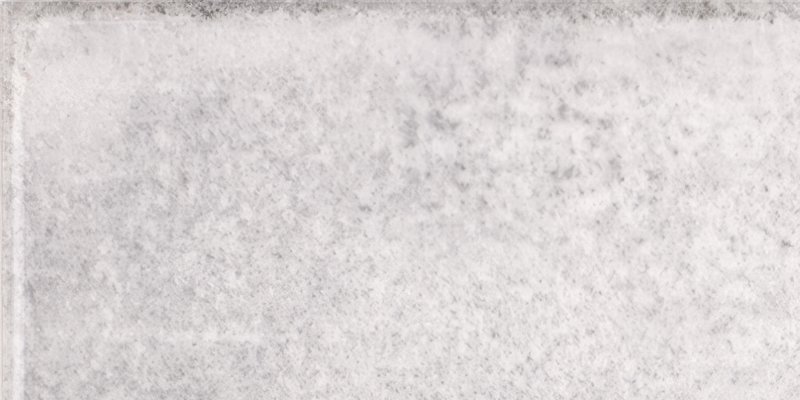 FA wt Vita Nebbia 10x20 thumbnail 2