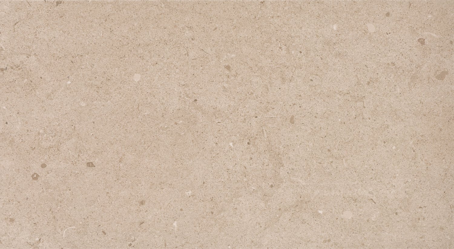 PAV vt Antica Taupe 60x120R (1st)