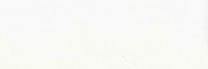 Bien wt Parisian White Mat 40x120R thumbnail 3