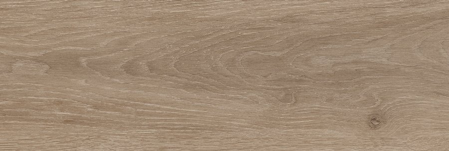 ECO vt Rainforest Taupe 20x60NR (RB) thumbnail 3