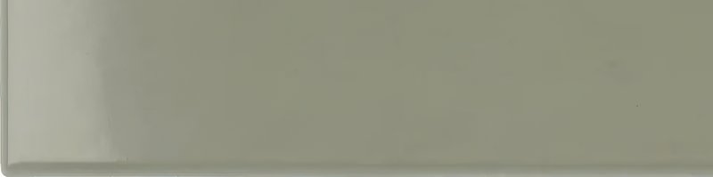 xEQ wt Costa Nova Tansy Green Glans 5x20NR thumbnail 4