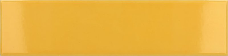 xEQ wt Costa Nova Yellow Glans 5x20NR