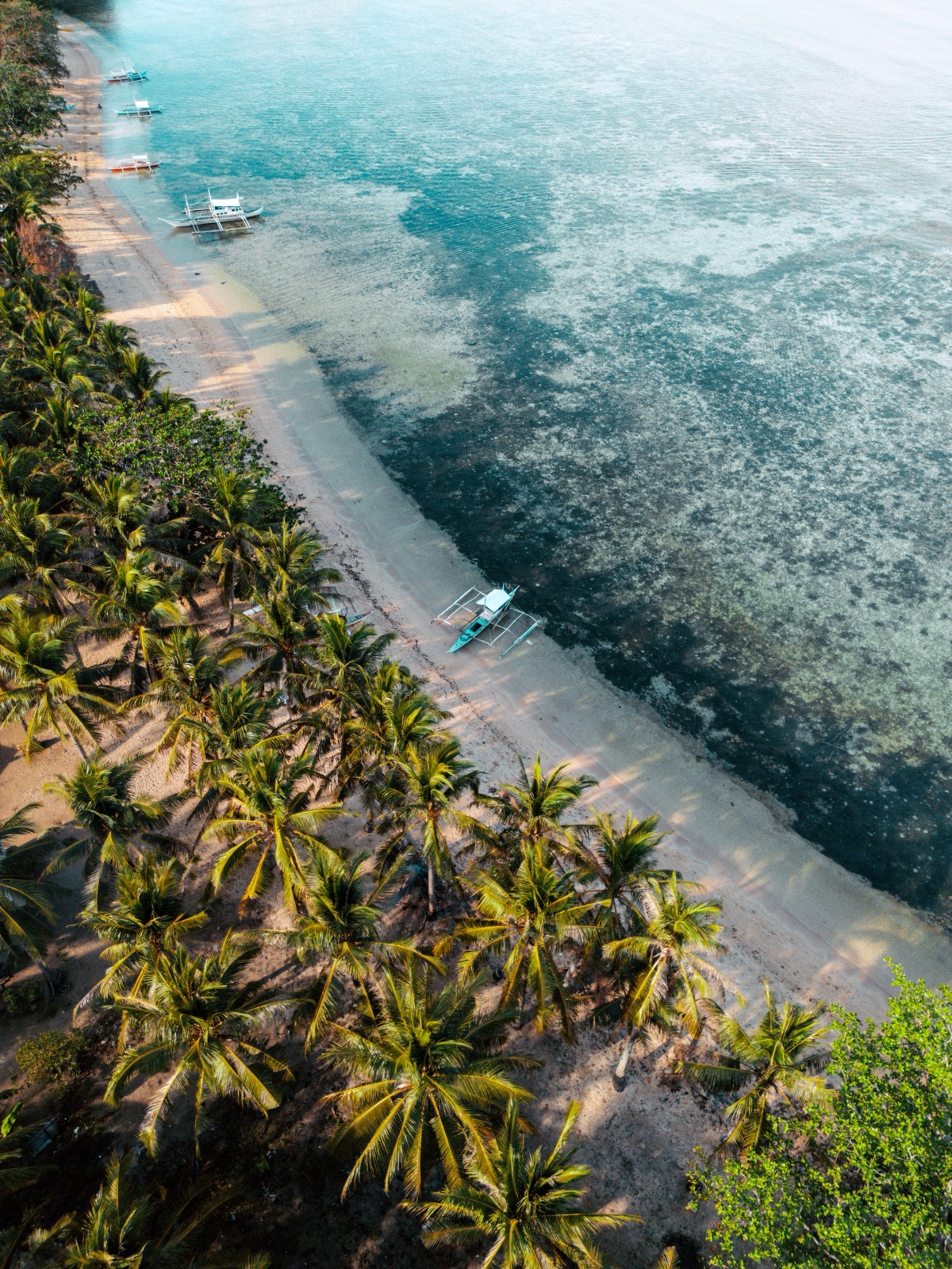 Arlyn Expeditions, frame 1