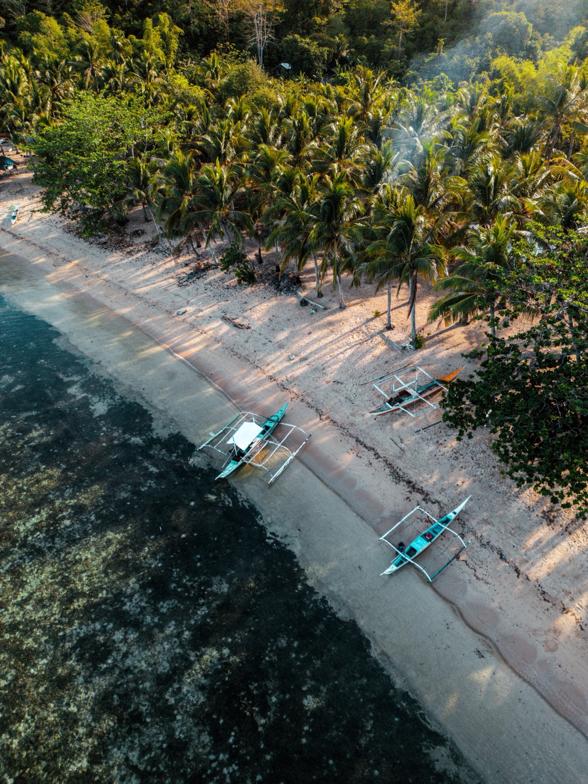 Arlyn Expeditions, frame 2