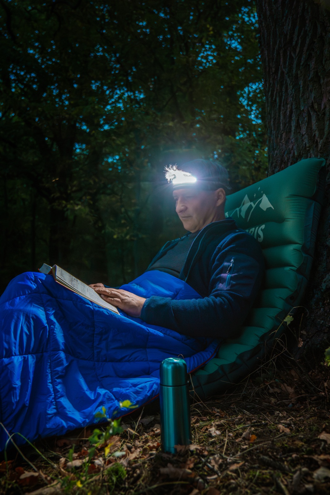 Fjällbris, frame 2