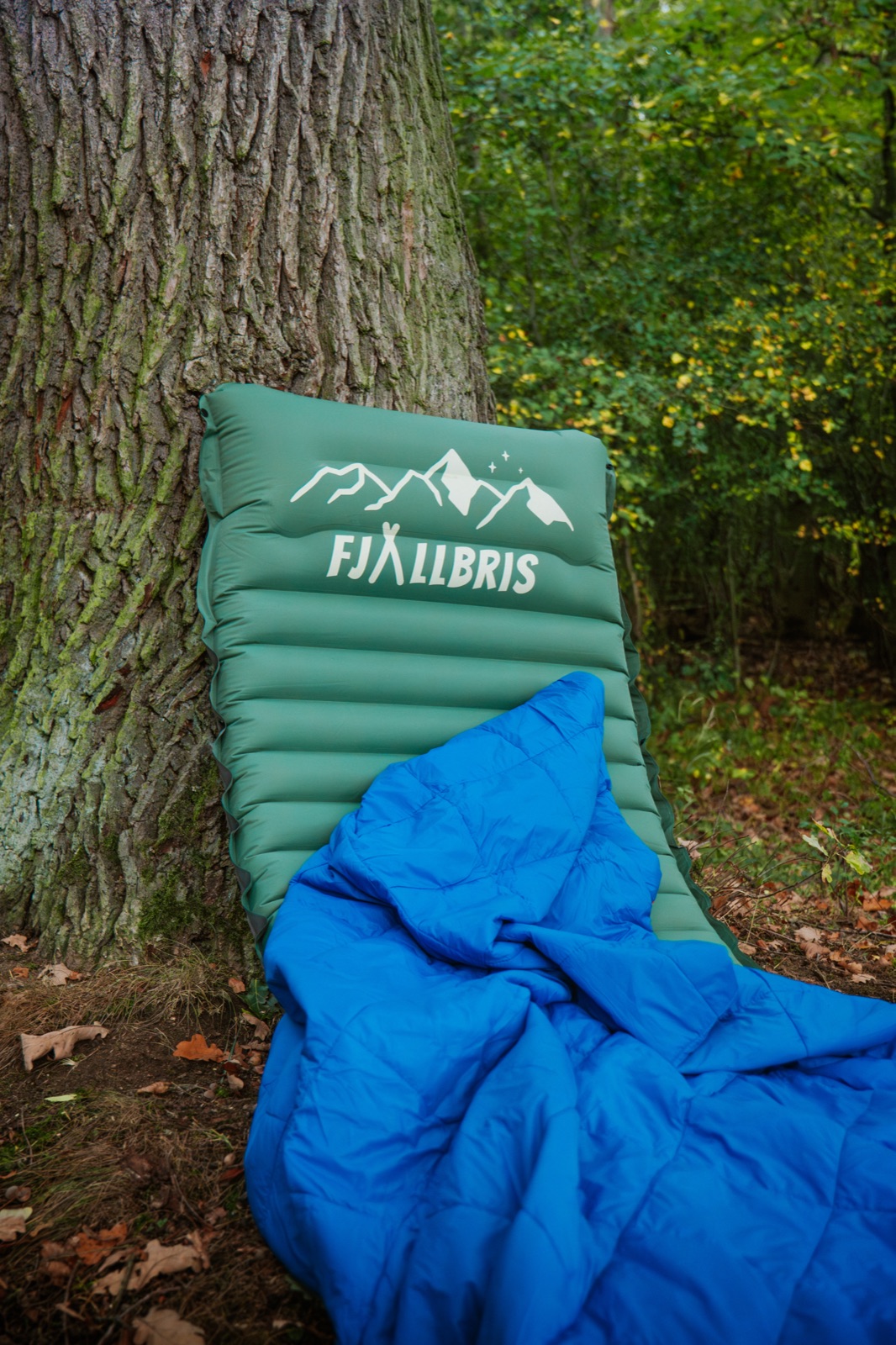 Fjällbris, frame 8