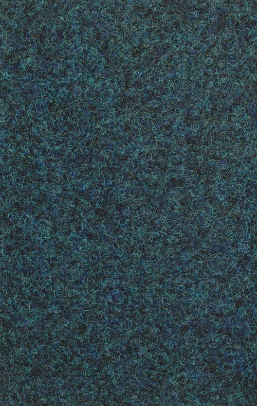 GOLDRACE II 507 BLAUW