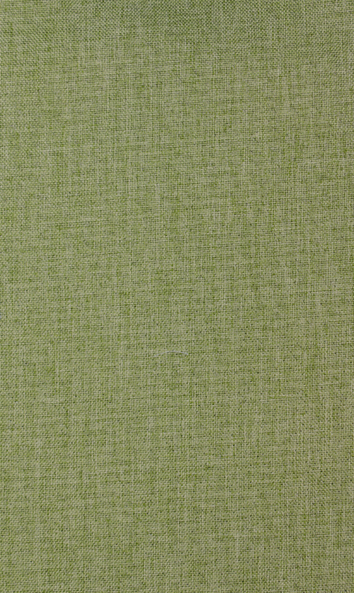 INSIDE DIMOUT - GROEN