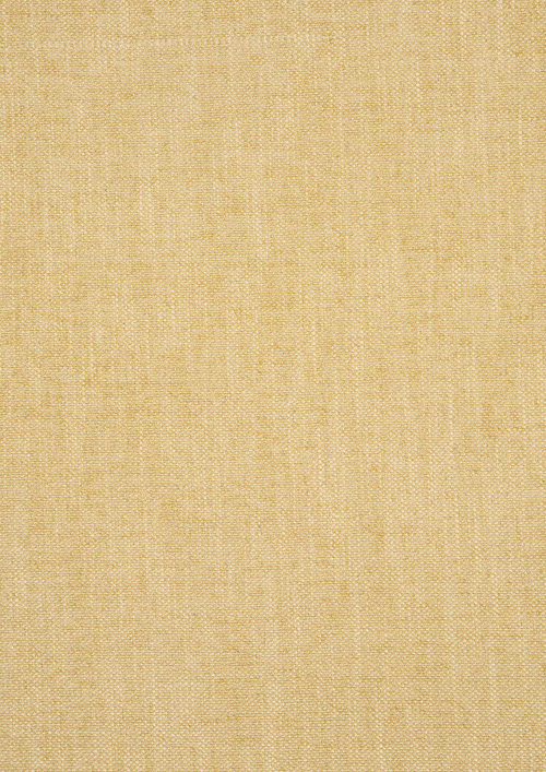 JAY 138B - JAY 138B 10 GEEL