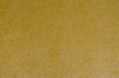 RENEW - OIL