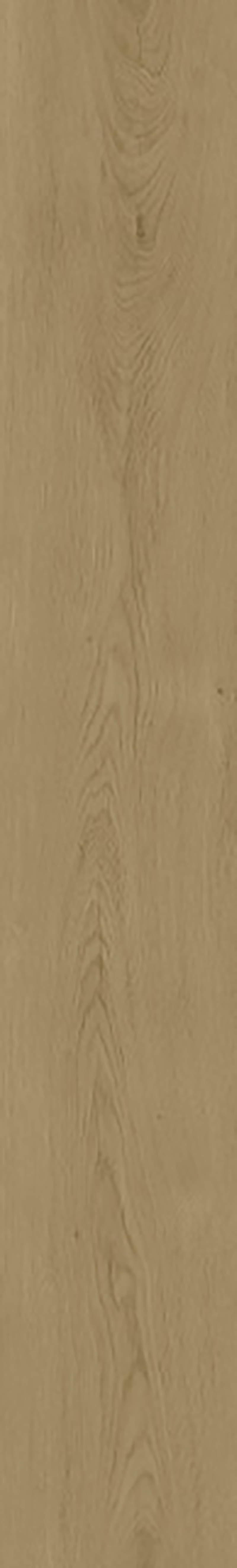 SOLID TRAPTR.100CM 00224 ALMOND OAK