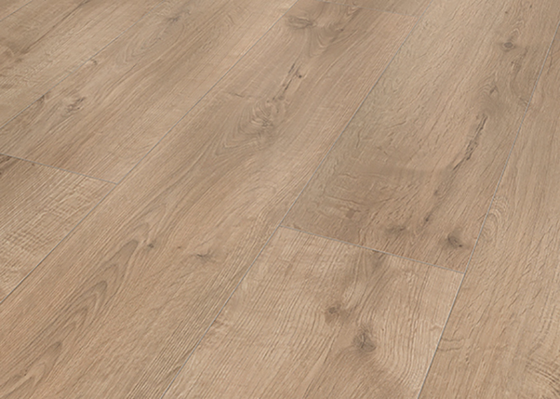 TULIP WIDE 55819